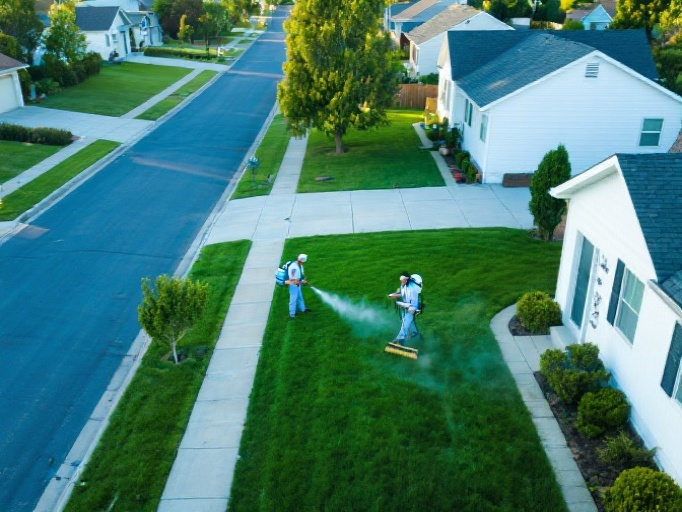 中山某小区虫害防治项目